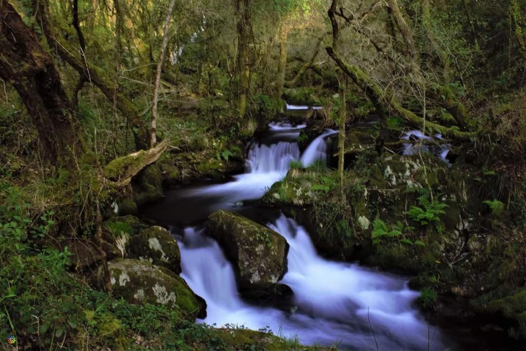 Eirixo Villa Valga Kültér fotó