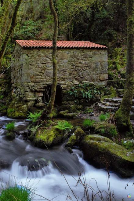 Eirixo Villa Valga Kültér fotó
